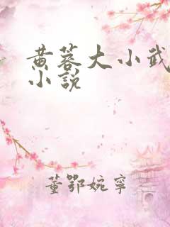 黄蓉大小武外传小说