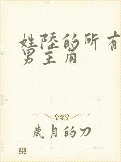 姓陆的所有小说男主角