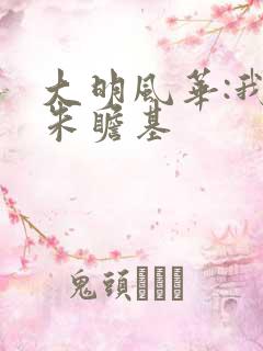 大明风华:我是朱瞻基