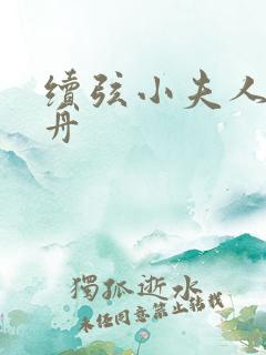 续弦小夫人江摇舟