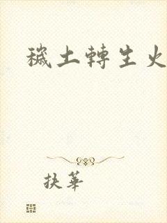秽土转生火影