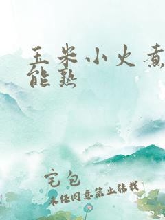 玉米小火煮多久能熟