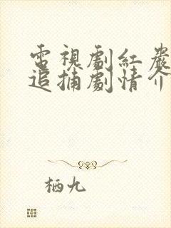 电视剧红岩下的追捕剧情介绍 电视剧红岩下的追捕剧情介绍