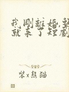 我刚离婚,系统就来了短剧合集