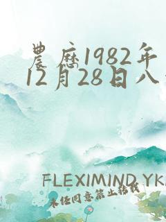 农历1982年12月28日八字算命