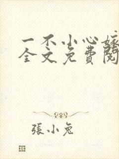 一不小心嫁总裁全文免费阅读 一不小心嫁总裁全文免费阅读