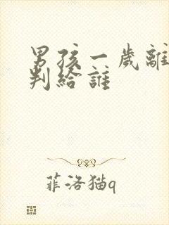 男孩一岁离婚会判给谁