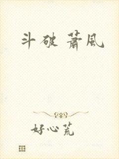 斗破 萧风
