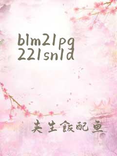 blm21pg221sn1d