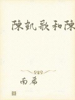 陈凯歌和陈飞宇