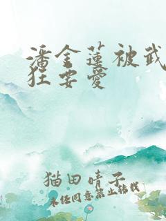 潘金莲被武松疯狂要爱