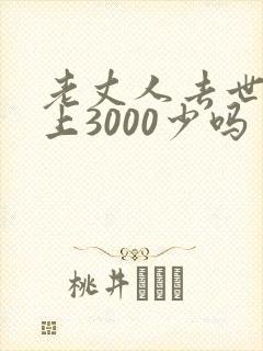 老丈人去世女婿上3000少吗
