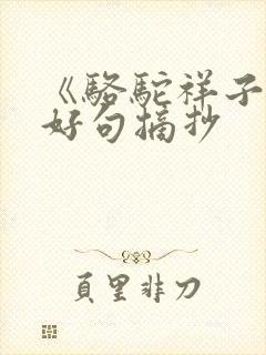 《骆驼祥子》的好句摘抄