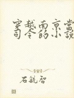 穿越南京当上总司令的小说