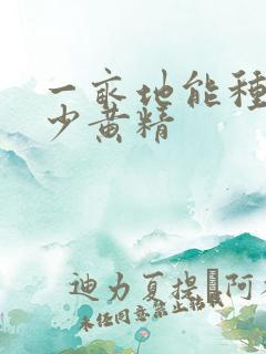 一亩地能种植多少黄精
