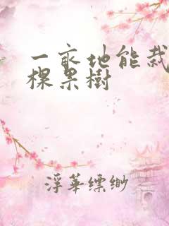 一亩地能栽多少棵果树