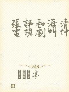张译和海清演的电视剧叫什么名 张译和海清演的电视剧叫什么名