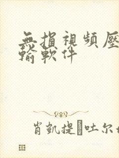 无损视频压缩传输软件