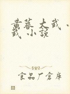 黄蓉 大武 小武 小说