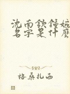 沈南钦钟婉小说名字是什么