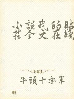 小说我的贴身校花全文在线阅读