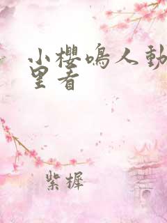 小樱鸣人动画哪里看