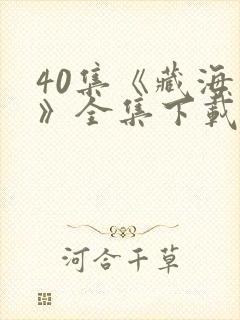 40集《藏海传》全集下载