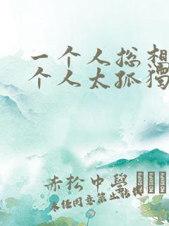 一个人总想哭一个人太孤独是什么歌