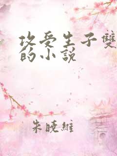 攻受生子双男主的小说