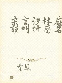 宋言汐林庭风小说叫什么名字