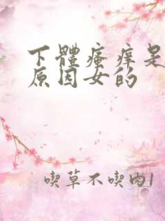 下体瘙痒是什么原因女的