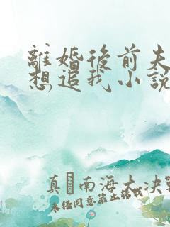 离婚后前夫总是想追我小说全文免费阅读
