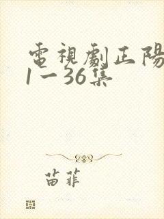 电视剧正阳门下1一36集 电视剧正阳门下1一36集