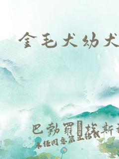 金毛犬幼犬价钱 金毛犬幼犬价钱