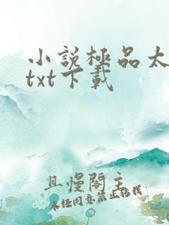 小说极品太子爷txt下载