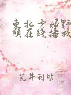 东北少妇野战视频在线播放免费