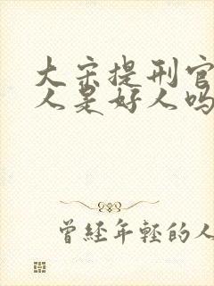 大宋提刑官卢大人是好人吗