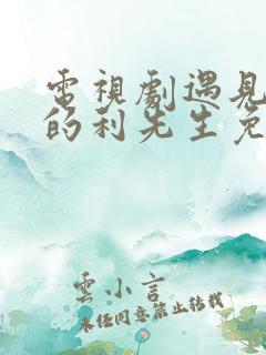 电视剧遇见爱情的利先生免费观看