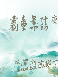 黄来是什么电视剧里面的 黄来是什么电视剧里面的