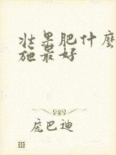 壮果肥什么时候施最好