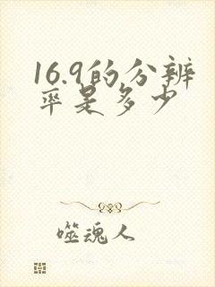 16.9的分辨率是多少