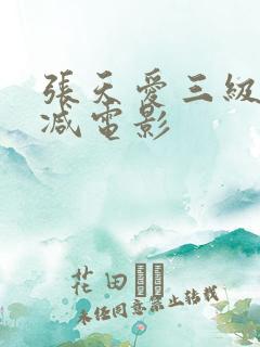 张天爱三级无删减电影