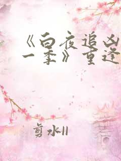 《白夜追凶 第一季》重逢版电视剧上映