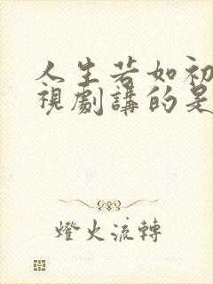 人生若如初见电视剧讲的是什么