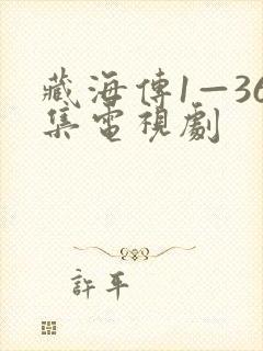 藏海传1—36集电视剧