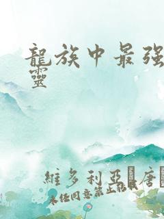 龙族中最强的言灵