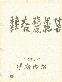 种大蒜用什么肥料做底肥最好大蒜怎么种桔