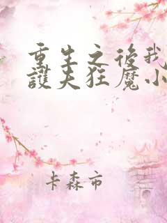 重生之后我成了护夫狂魔小说
