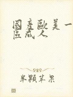 国产欧美一区二区成人