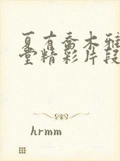 夏有乔木雅望天堂精彩片段 夏有乔木雅望天堂精彩片段